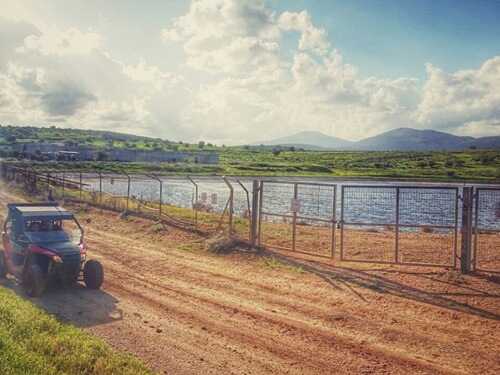 טרקטורוני כלנית